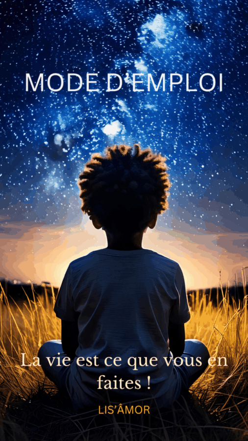 Image de couverture du livre de Lis'âmOr "Mode d'emploi : La vie est ce que vous en faites"